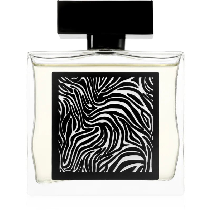Fragrance World Encrypt parfémovaná voda pro muže 85 ml