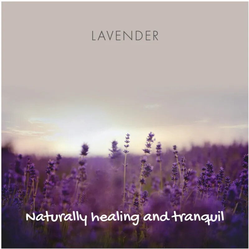 Friendly Soap Natural Soap Lavender přírodní mýdlo 95 g