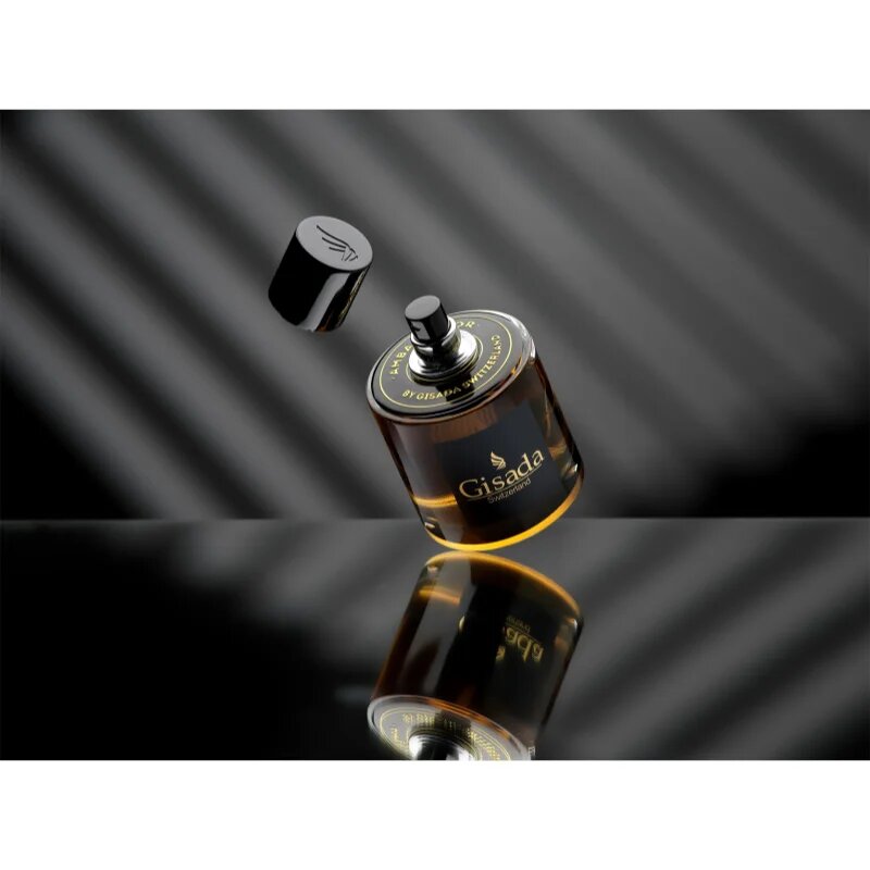 Gisada Ambassador parfémovaná voda pro muže 100 ml