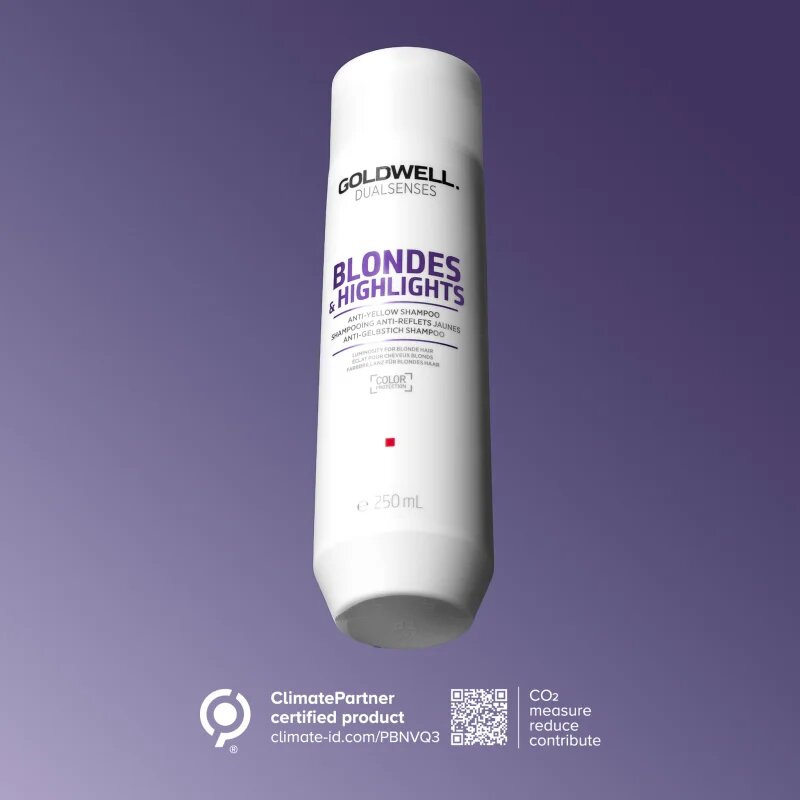 Goldwell Dualsenses Blondes & Highlights šampon pro blond vlasy neutralizující žluté tóny 250 ml
