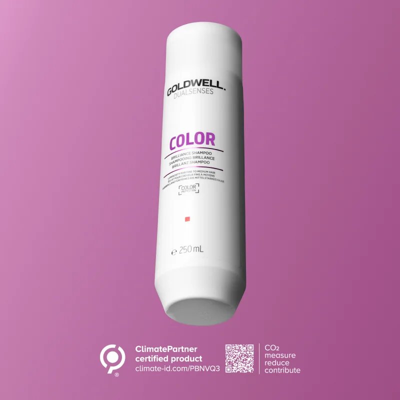 Goldwell Dualsenses Color šampon pro ochranu barvených vlasů 250 ml