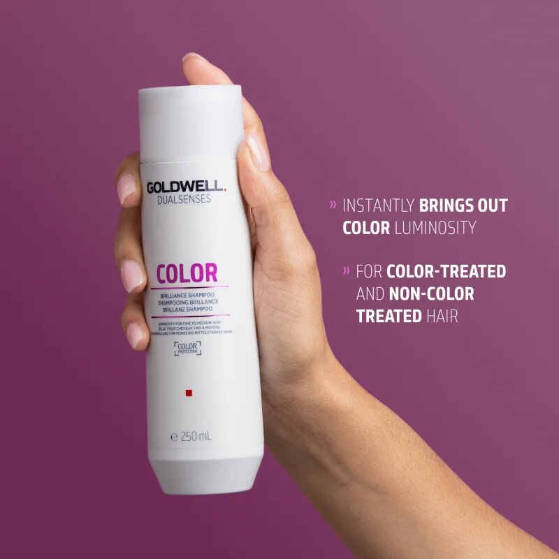 Goldwell Dualsenses Color šampon pro ochranu barvených vlasů 250 ml