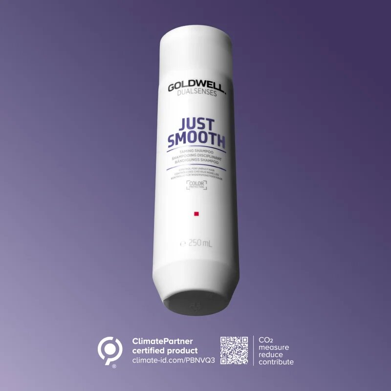 Goldwell Dualsenses Just Smooth uhlazující šampon pro nepoddajné vlasy 250 ml