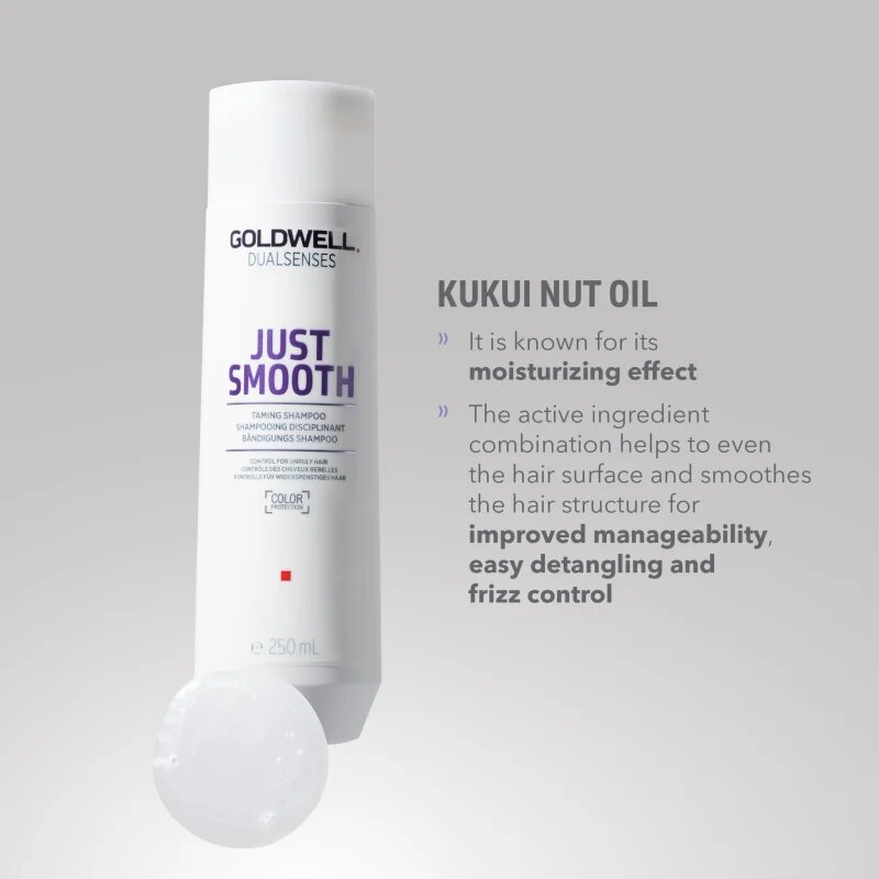 Goldwell Dualsenses Just Smooth uhlazující šampon pro nepoddajné vlasy 250 ml