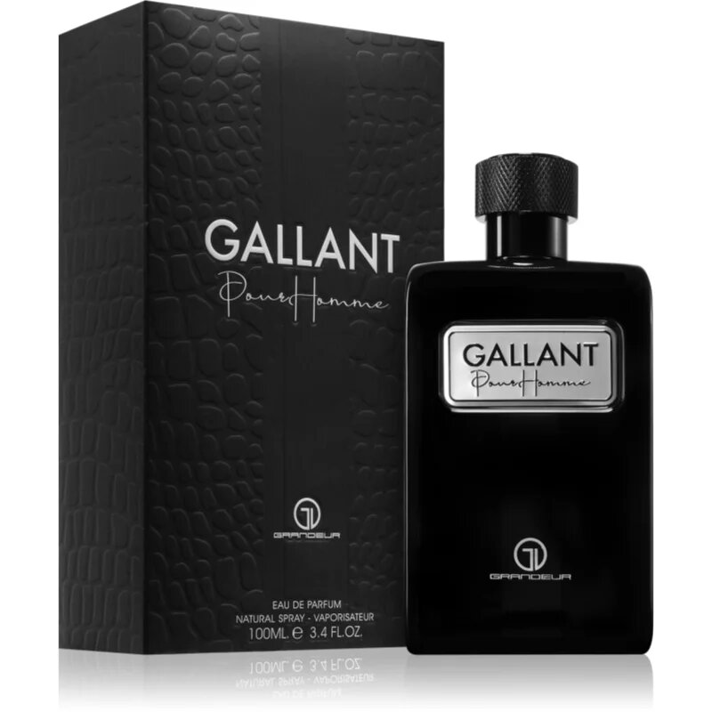 Grandeur Gallant parfémovaná voda pro muže 100 ml