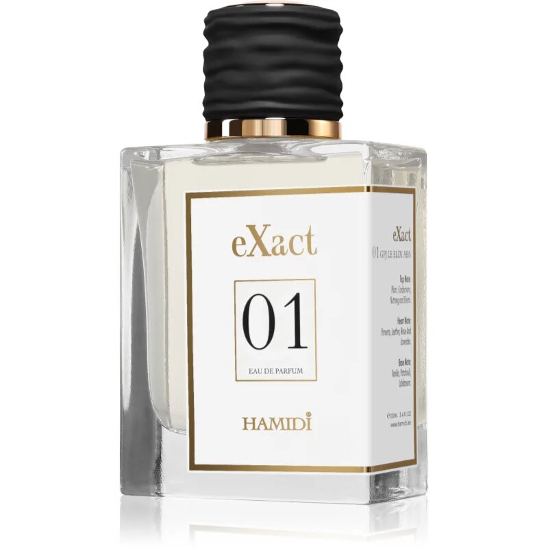 Hamidi eXact 01 parfémovaná voda pro muže 100 ml