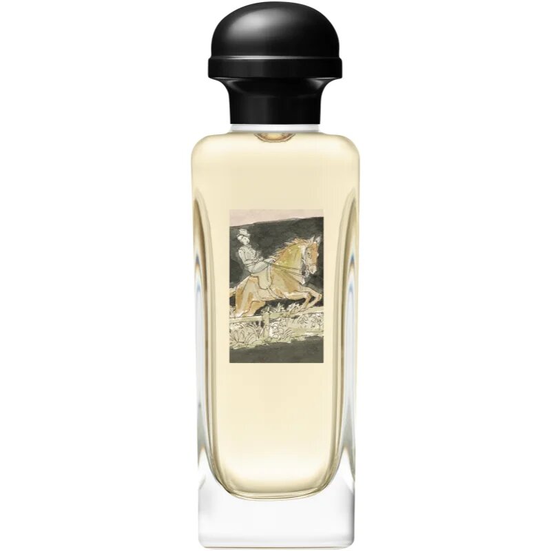 HERMÈS Amazone Eau de Toilette toaletní voda pro ženy 100 ml