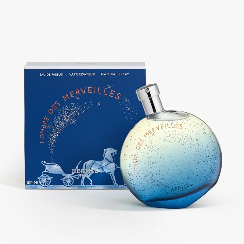HERMÈS L'Ombre Des Merveilles parfémovaná voda pro ženy 100 ml