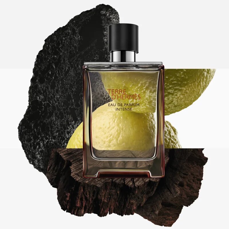 HERMÈS Terre d’Hermès Eau de Parfum Intense parfémovaná voda intense – náhradní náplň pro muže 200 ml