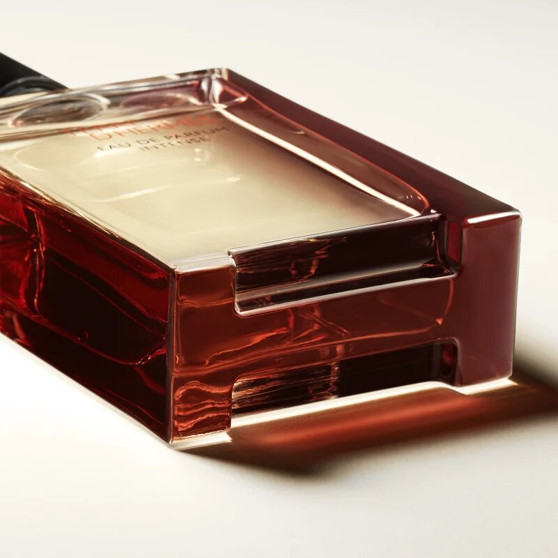 HERMÈS Terre d’Hermès Eau de Parfum Intense parfémovaná voda intense pro muže 100 ml