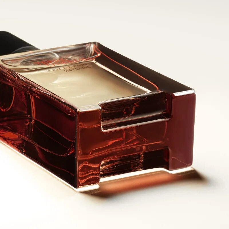 HERMÈS Terre d’Hermès Eau de Parfum Intense parfémovaná voda intense pro muže 50 ml