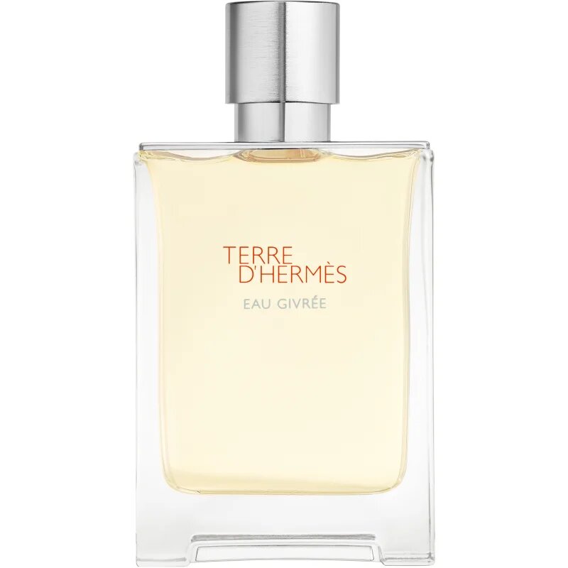 HERMÈS Terre d’Hermès Eau Givrée parfémovaná voda plnitelná pro muže 100 ml