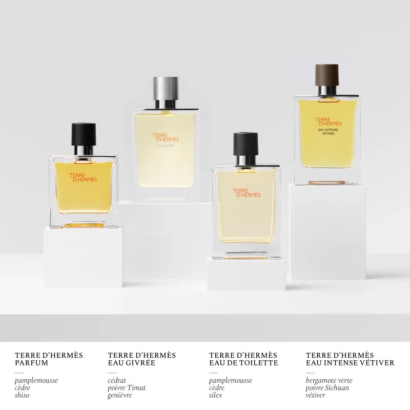 HERMÈS Terre d’Hermès Eau Givrée parfémovaná voda plnitelná pro muže 175 ml
