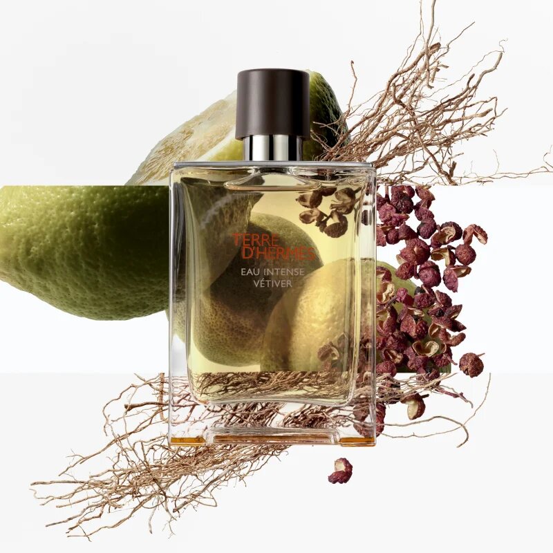 HERMÈS Terre d’Hermès Eau Intense Vétiver parfémovaná voda pro muže 100 ml