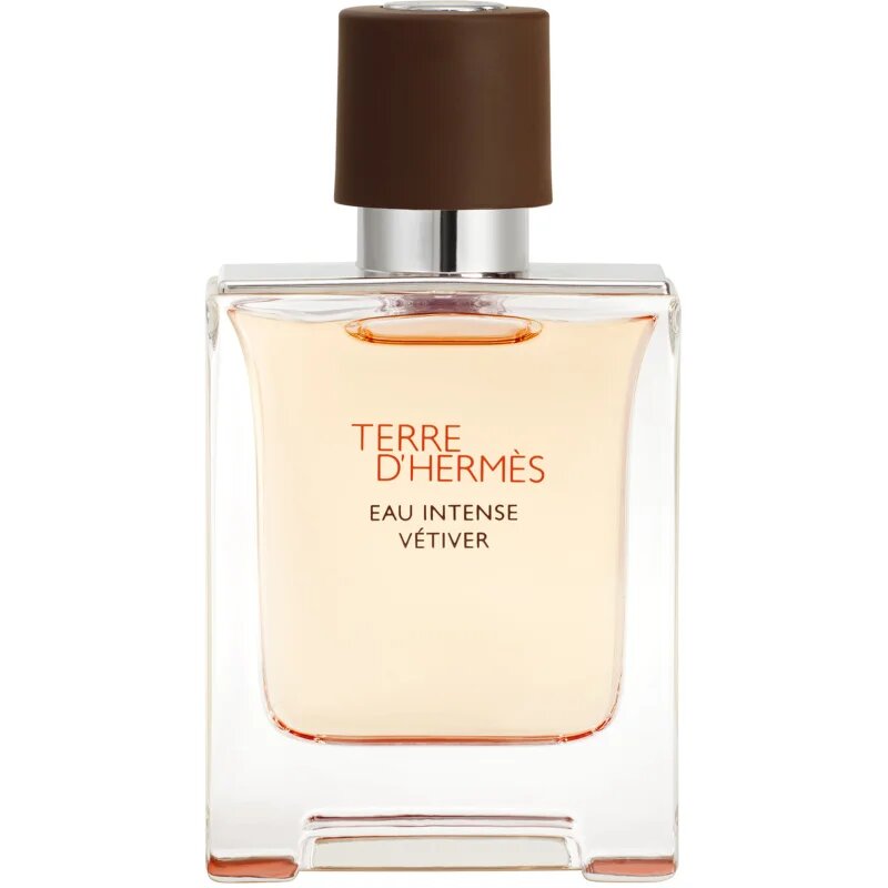 HERMÈS Terre d’Hermès Eau Intense Vétiver parfémovaná voda pro muže 50 ml