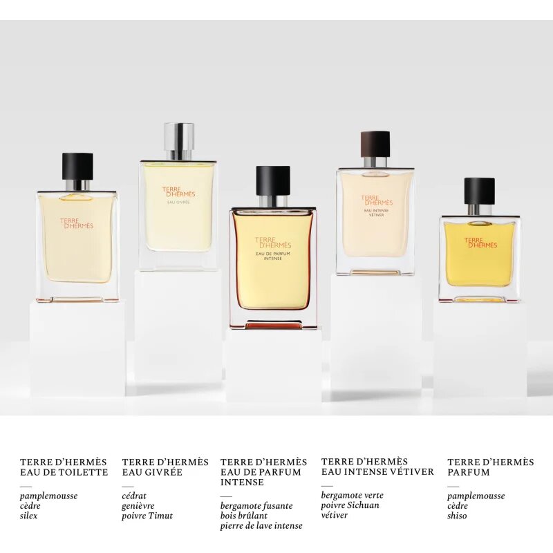 HERMÈS Terre d’Hermès Eau Intense Vétiver parfémovaná voda pro muže 50 ml