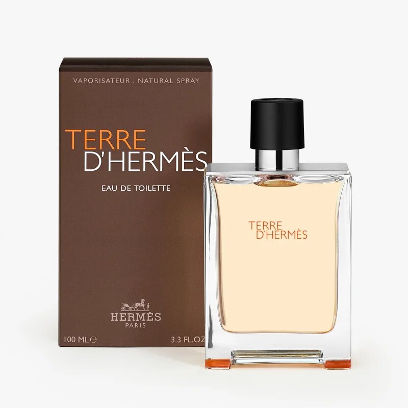 HERMÈS Terre d’Hermès toaletní voda pro muže 100 ml
