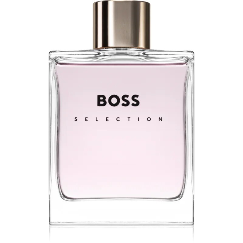 Hugo Boss BOSS Selection toaletní voda pro muže 100 ml