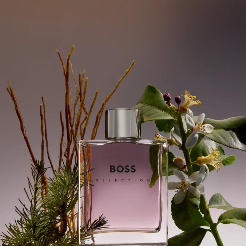 Hugo Boss BOSS Selection toaletní voda pro muže 100 ml