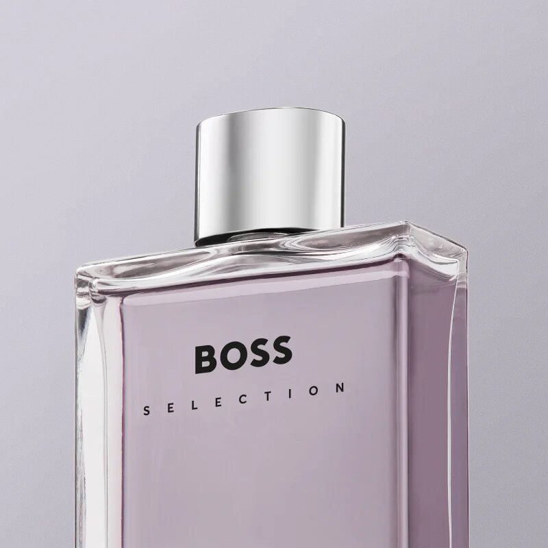 Hugo Boss BOSS Selection toaletní voda pro muže 100 ml