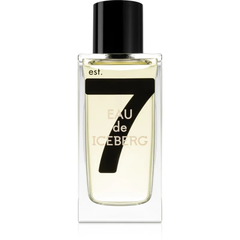 Iceberg Eau de 74 Pour Homme toaletní voda pro muže 100 ml