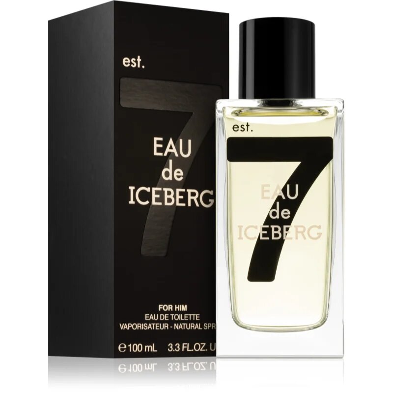 Iceberg Eau de 74 Pour Homme toaletní voda pro muže 100 ml