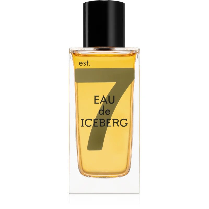 Iceberg Eau de Amber toaletní voda pro muže 100 ml