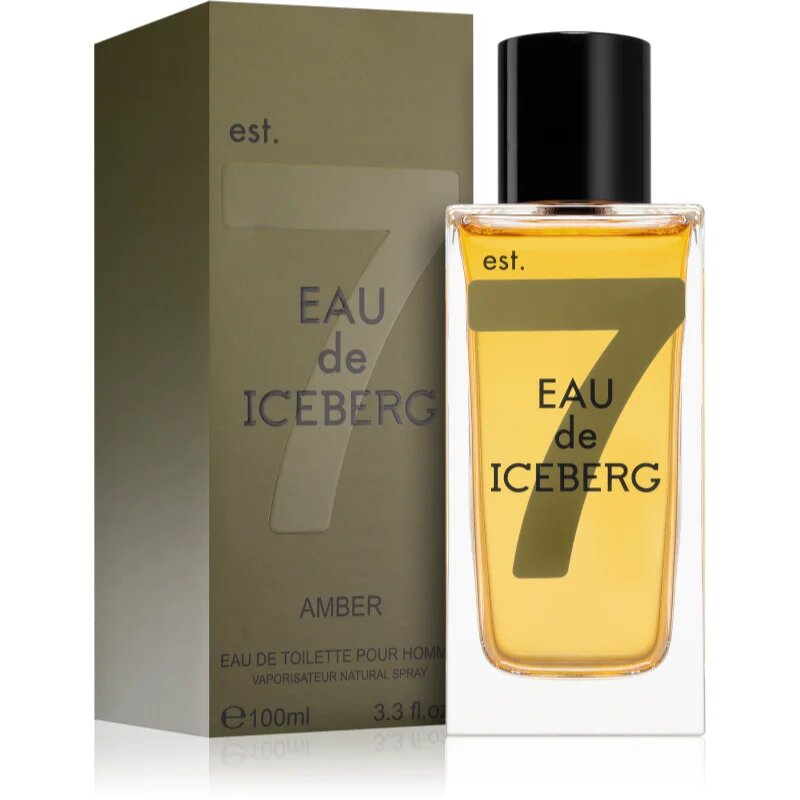 Iceberg Eau de Amber toaletní voda pro muže 100 ml