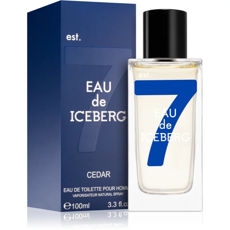 Iceberg Eau de Cedar toaletní voda pro muže 100 ml