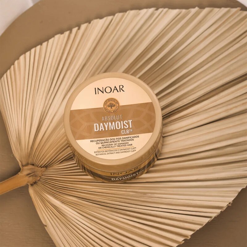 INOAR Absolut Daymoist CLR™ intenzivní hydratační maska pro suché a barvené vlasy 250 g