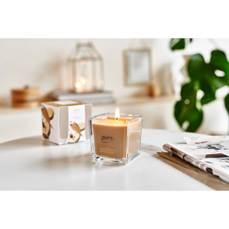 ípuro Essentials Cedar Wood vonná svíčka 125 g