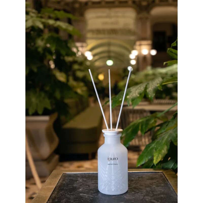 ípuro Exclusive Santal Blanc aroma difuzér 240 ml