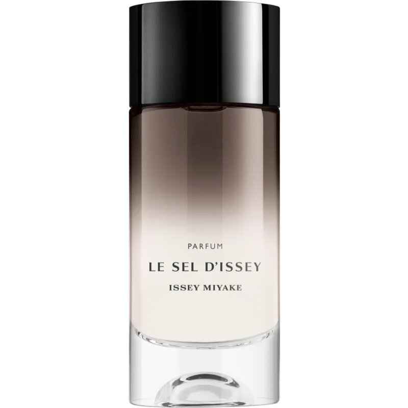 Issey Miyake Le Sel d'Issey parfém pro muže 100 ml