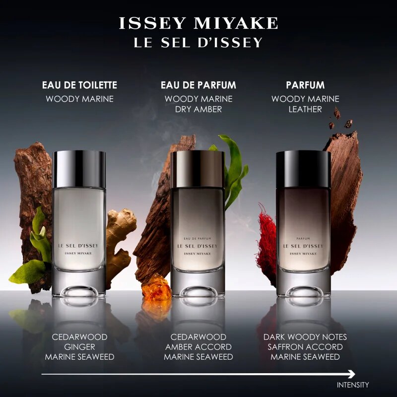 Issey Miyake Le Sel d'Issey parfém pro muže 50 ml