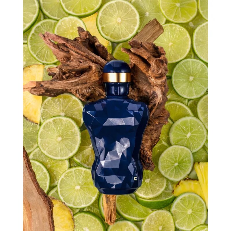 Jeanne Arthes Cassius EDP parfémovaná voda pro muže 100 ml