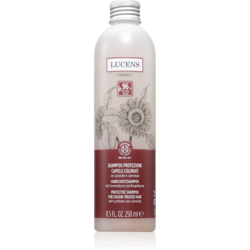 Kemon Group Shampoo Protezione šampon pro ochranu barvy 250 ml