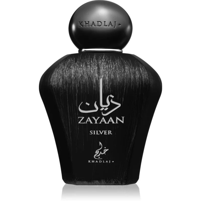 Khadlaj Zayaan Silver parfémovaná voda pro muže 100 ml