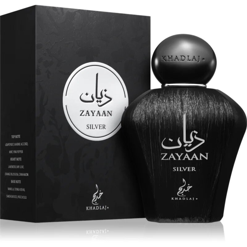 Khadlaj Zayaan Silver parfémovaná voda pro muže 100 ml