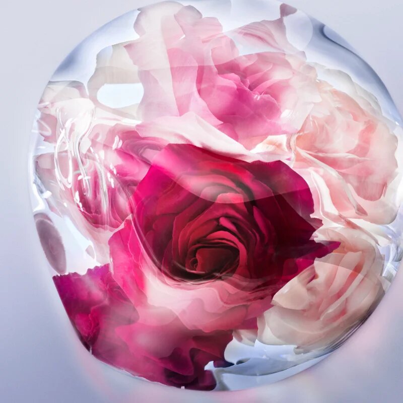 Lancôme La Vie Est Belle Rose Extraordinaire parfémovaná voda pro ženy 30 ml