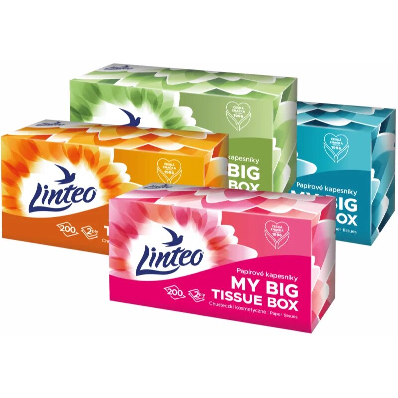 Linteo Paper Tissues Two-ply Paper 200 pcs per box papírové kapesníky 200 ks