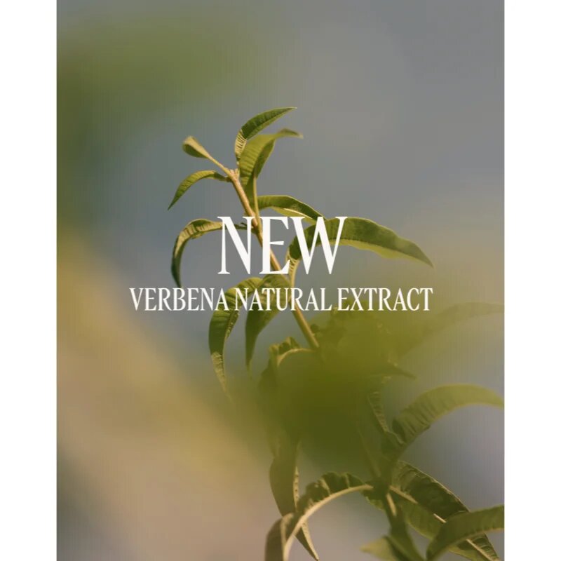 L’Occitane Verveine Perfumed Body Lotion tělové mléko pro ženy 250 ml