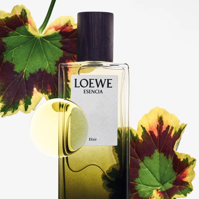 Loewe Esencia Elixir parfém pro muže 100 ml
