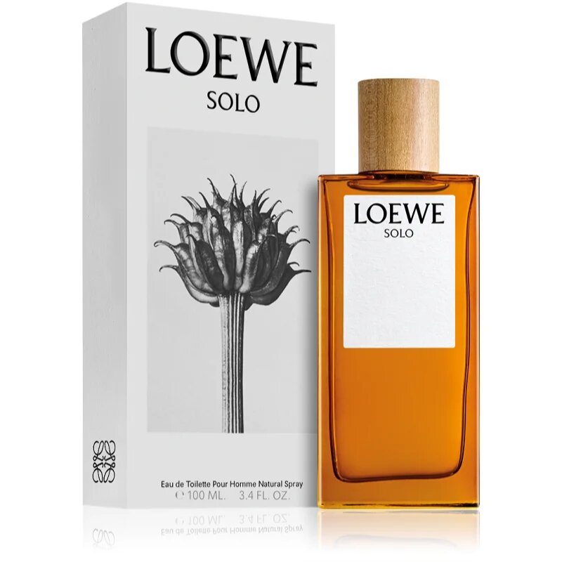 Loewe Solo toaletní voda pro muže 100 ml