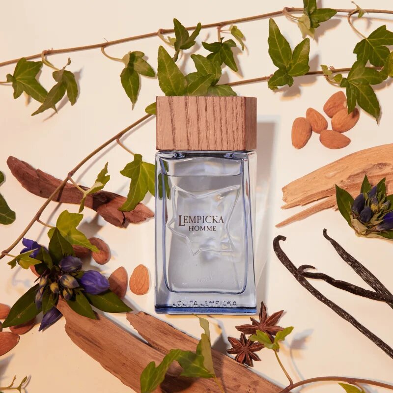 Lolita Lempicka Lempicka Homme toaletní voda pro muže 100 ml