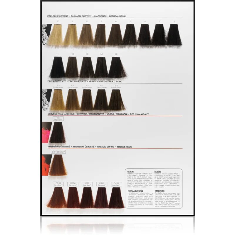 L’Oréal Professionnel Inoa ODS2 barva na vlasy odstín 10.12 Lightest Ash Iridescent Blonde 60 g