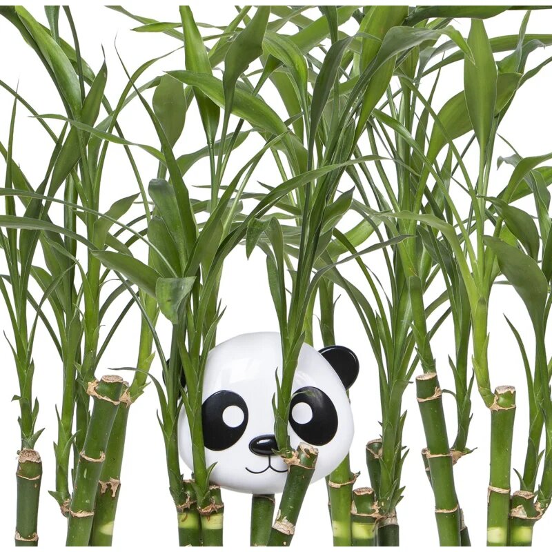 Melii Snack Container svačinový box Panda 232 ml