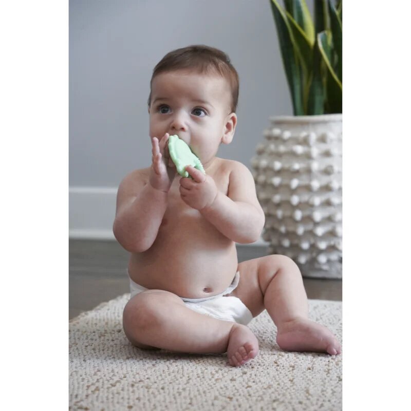 Melii Teethers kousátko Dino & Shark 2 ks