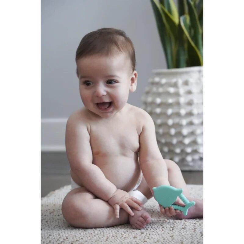 Melii Teethers kousátko Dino & Shark 2 ks