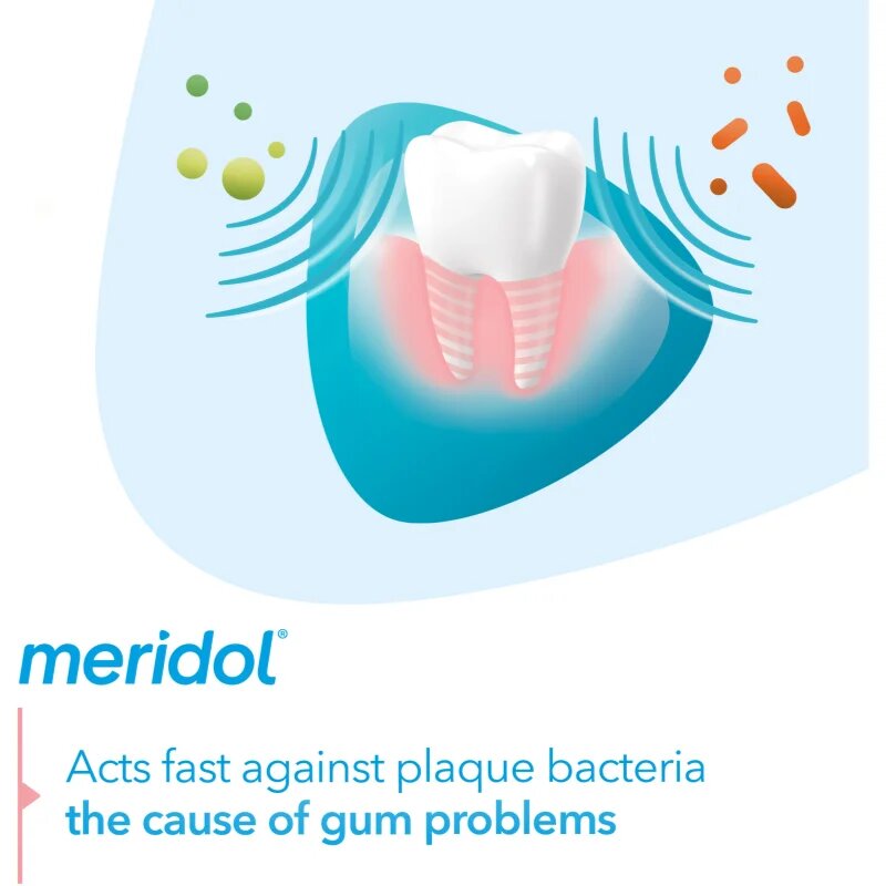 Meridol Gum Protection zubní pasta podporující regeneraci podrážděných dásní 75 ml