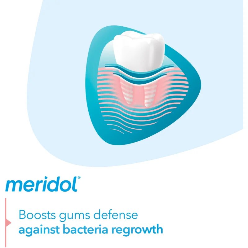 Meridol Gum Protection zubní pasta podporující regeneraci podrážděných dásní 75 ml